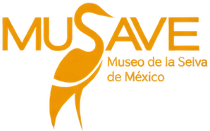 Musave